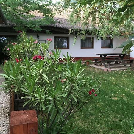 Balatonkenesei Nadfedeles Lovas Vendeghaz Villa Екстериор снимка