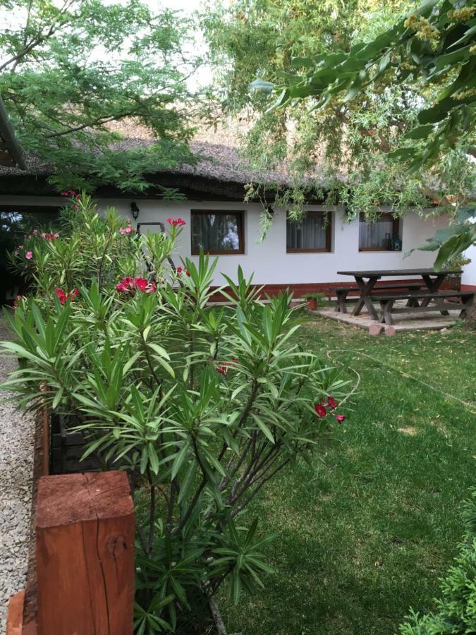 Balatonkenesei Nadfedeles Lovas Vendeghaz Villa Екстериор снимка