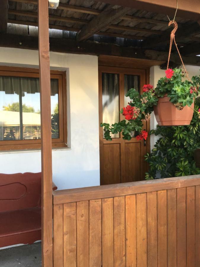Balatonkenesei Nadfedeles Lovas Vendeghaz Villa Екстериор снимка