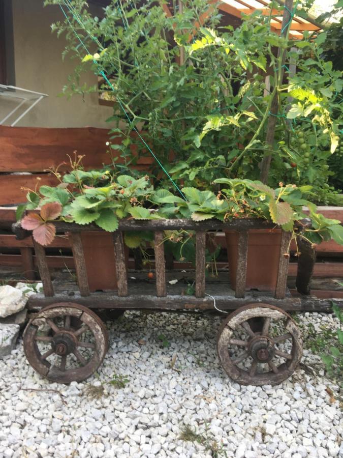 Balatonkenesei Nadfedeles Lovas Vendeghaz Villa Екстериор снимка